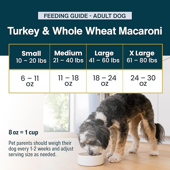 JustFoodForDogs Pantry Fresh Wet Dog Food Complete Meal or Dog Food Topper, Turkey & Whole Wheat Macaroni Human Grade Dog Food Recipe - 12.5 oz (Pack of 12)