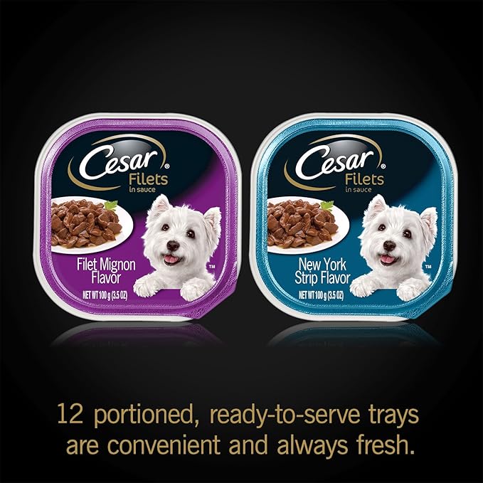 Cesar Filets in Gravy Adult Wet Dog Food Variety Pack, Filet Mignon and New York Strip Flavors, 3.5 oz. Easy Peel Dog Food Tray, 12 Count (Pack of 1)