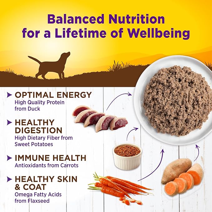 Wellness Complete Health Pate Adult Canned Wet Dog Food, Wholesome Grains, Natural, Duck and Sweet Potato, 12.5 oz, Pack of 12 Cans