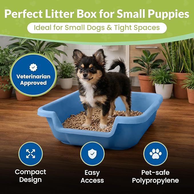 Dog Litter Box, Blue Color, Small Size, Durable & Pet Safe Puppy Litter Box, Indoor Open Top Entry Dog Litter Pan, Comfortable for Dogs, Great for Small Dogs up to 6 lbs (2 Pack)