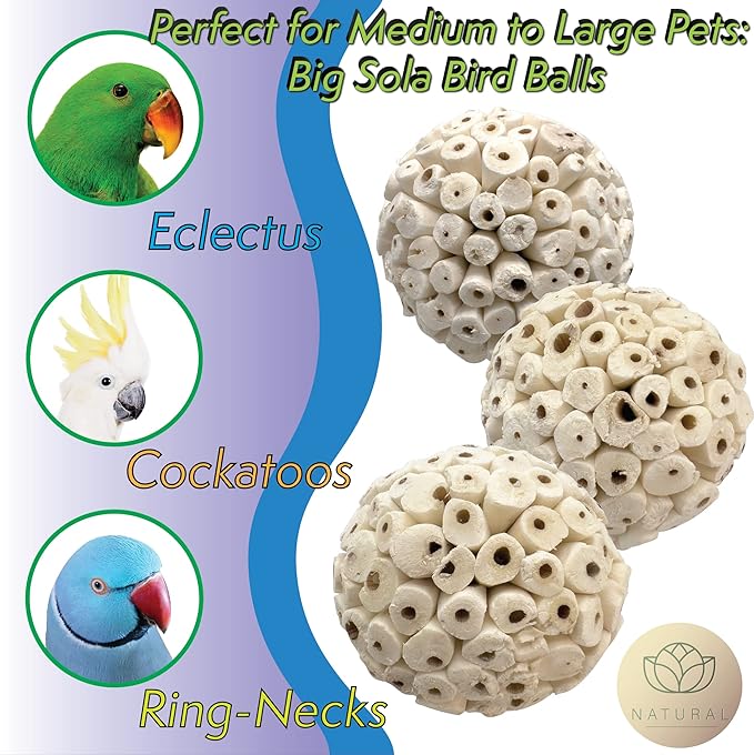 5100 Pk2 Big Sola Balls - Handmade Large Sized sola Wood Bird Foot Toys, Lightweight, Easy to Shred for Beaks and feet, Conditions While Pets chew, Excellent for med to Large Size Birds, Breaks Apart