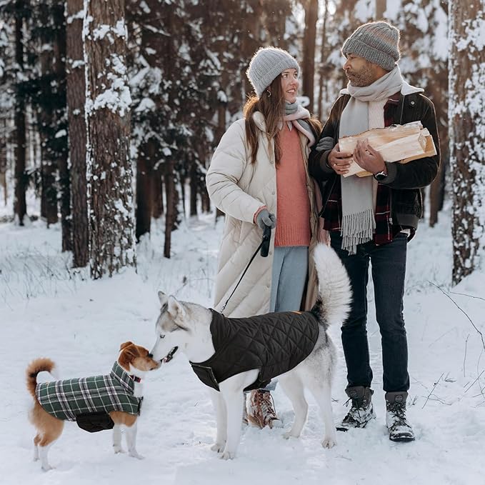 Kuoser Warm Dog Coat, Waterproof Dog Coats for X-Small Dogs, Adjustable Durable Doggie Winter Jacket Reversible Cozy Puppy Cold Weather Apparel from Small to Large Breed, Green XS