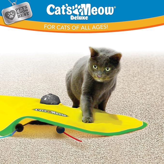 Cat's Meow | Interactive Enrichment Toy for Indoor Cats & Kittens, Automatic Movements that Simulate Mouse Tail & Hunting Prey, Self-Play Battery Powered for Physical & Mental Stimulation, All Breeds
