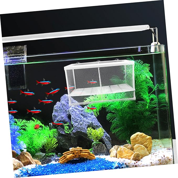 TOYANDONA 2pcs Fish Box Aquarium Incubator Fish Tank Breeding Isolation Box Divider Aquarium Style