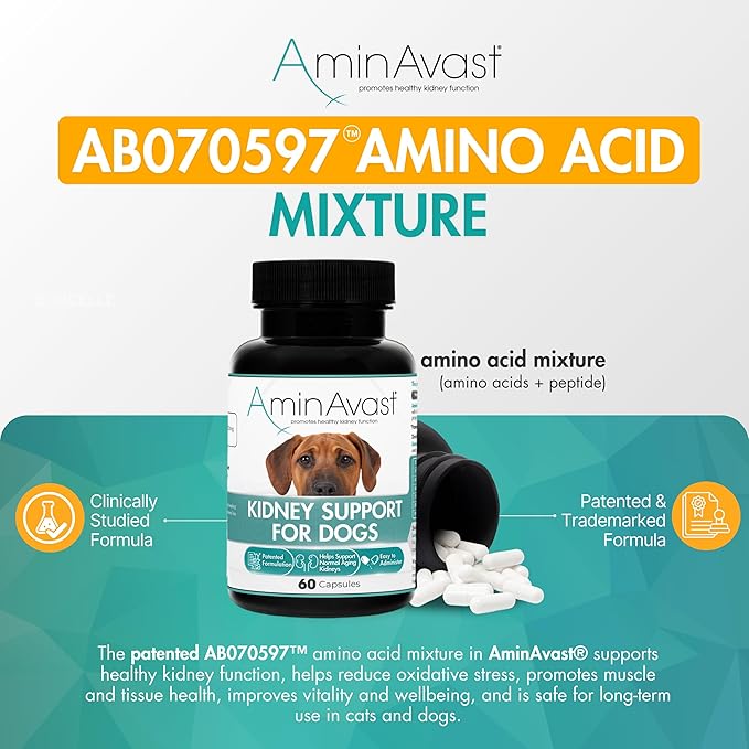 AminAvast Kidney Support Supplement for Dogs, 1000mg 2-Pack - Promotes Natural Kidney Function - Aids in Health and Vitality of Aging Kidneys - Easily Administered - 60 Sprinkle Capsules
