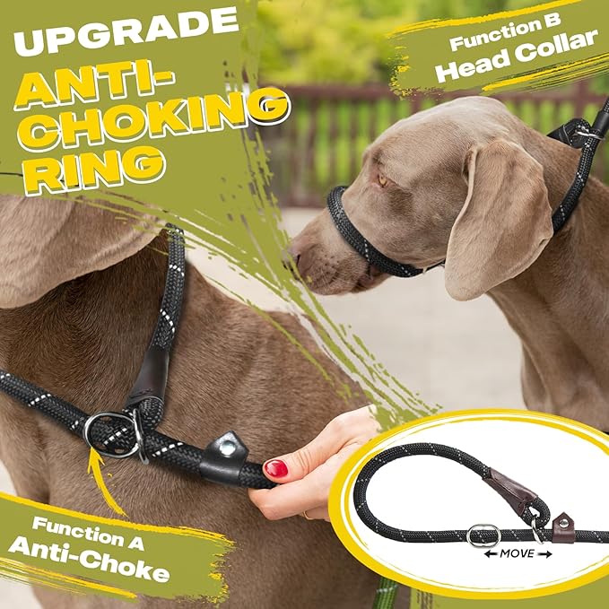 Fida Durable Slip Lead Dog Leash Bulk Pack of 5, Heavy Duty 1/2" x 6 FT Comfortable Strong Rope Slip Lead for Large, Medium & Small Dogs No Pulling Pet Training Leash with Highly Reflective (Black)
