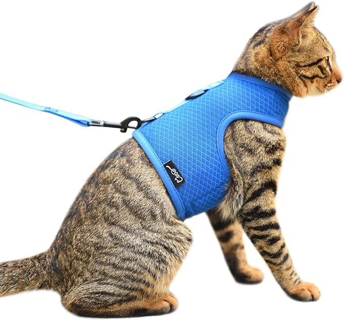 Cat Harness and Leash for Walking Escape Proof Breathable Mesh Fabric, Solid Blue, Large, Adjustable Cat Walking Jackets, Padded Stylish Cat Vest