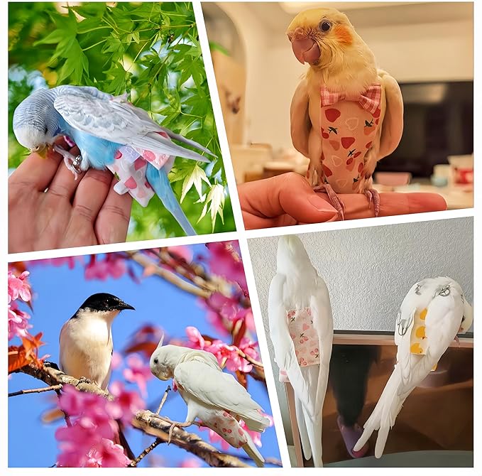 2Pcs Bird Diapers Bird Harness Flight Suits Diapers with 2Pcs 80 Inch Flying Leash Parrot Nappy Pigeon Pants Urine Wet Suit Costume for Cockatiel Conure Macaw Budgies Parakeet-Heart&Duck