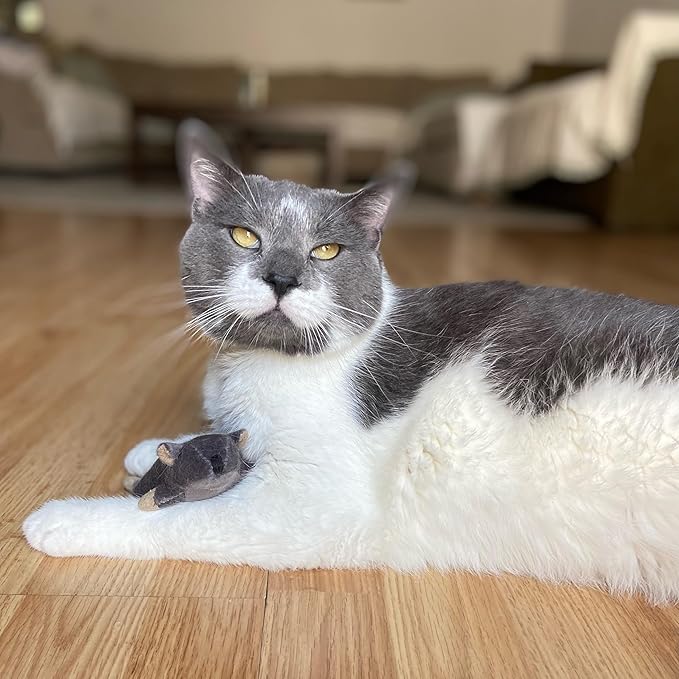 SPOT Flat Mouse Frankie with Catnip - Cat Toy, Fuzzy Mice with Catnip and Crinkle Sound, Perfect Size for Pouncing on, Chasing, Hunting - 5.5in Plush Toys, Assorted Colors (Pack of 2)