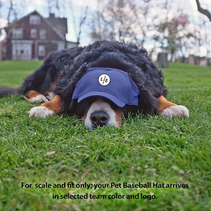 Littlearth NFL Pet Baseball Hat - Officially Licensed Teams, Sizes: XS - XL