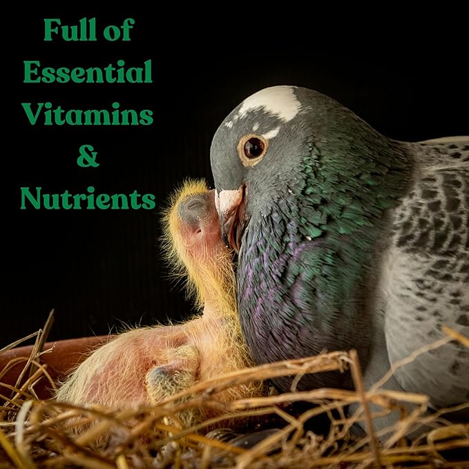 Treasure Pills for Pigeons – Fertility Support, Growth Booster & Immune System Enhancer – Natural Supplement for Racing, Breeding & Young Pigeons – Vitamins for Health & Performance