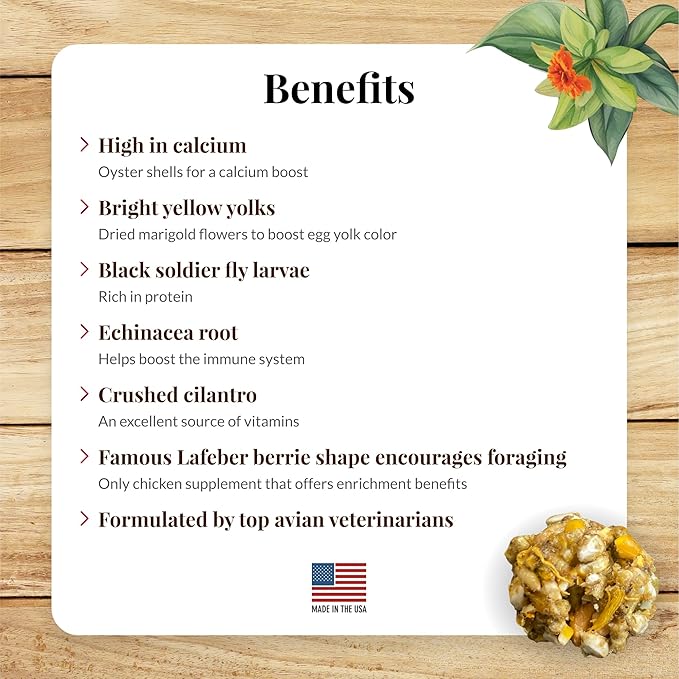 LAFEBER'S Booster Berries Enrich Chicken Supplement, for Chickens (10oz Pack of 2)