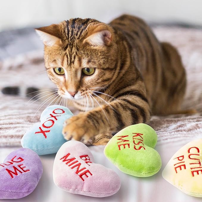 MALLMALL6 5Pcs Valentine’s Day Conversation Heart Catnip Toys Gift for Cat, Indoor Kitten Chew Bite Kick Plush Candy Catmint Pet for Cat Lover Gifts, Cute Interactive Cat Supplies for Pet Presents