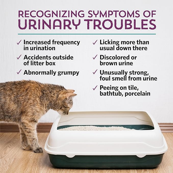 Meowbiotics Kitty P. Freely Cat Urinary Supplement, Cranberry for UTI & Kidney Support Powder Probiotics for Cats, Made in USA (30 Days)