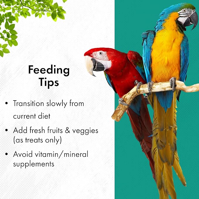 RoudyBush Senior Bird Diet, Small, 44-Ounce, Yellow, 2.75 Pound (Pack of 1)