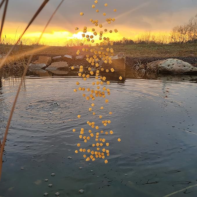 HALF OFF PONDS All Seasons Koi Fish Food - 10 lb Floating Pellets, 5mm Size - Goldfish Food for Ponds - 28% Protein with Wheat Germ & Vitamins - Ideal for Year-Round Feeding & Water Clarity