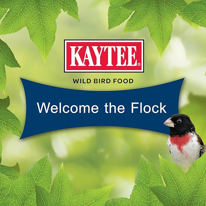 Kaytee Wild Bird Birders’ Paradise Seed Cake for Cardinals, Blue Jays, Woodpeckers, Finches and More, 2 Pounds, Pack of 4