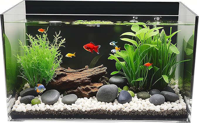 FixtureDisplays® 16.1 X 7.9 X 8.3" 5 Gallon Premium Clear Acrylic Fish Tank 22192-NF