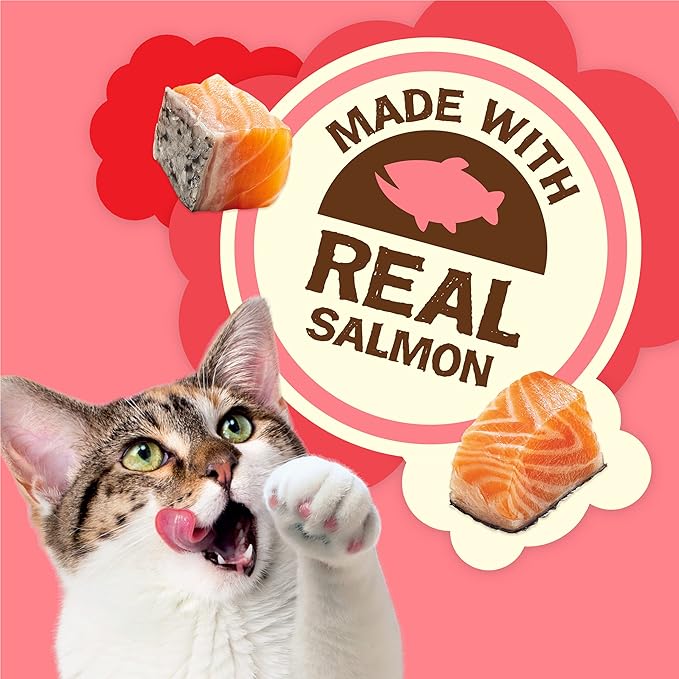 Purina Friskies Natural Cat Treats, Party Mix Natural Yums With Real Salmon and Vitamins, Minerals & Nutrients - (Pack of 6) 6 oz. Pouches