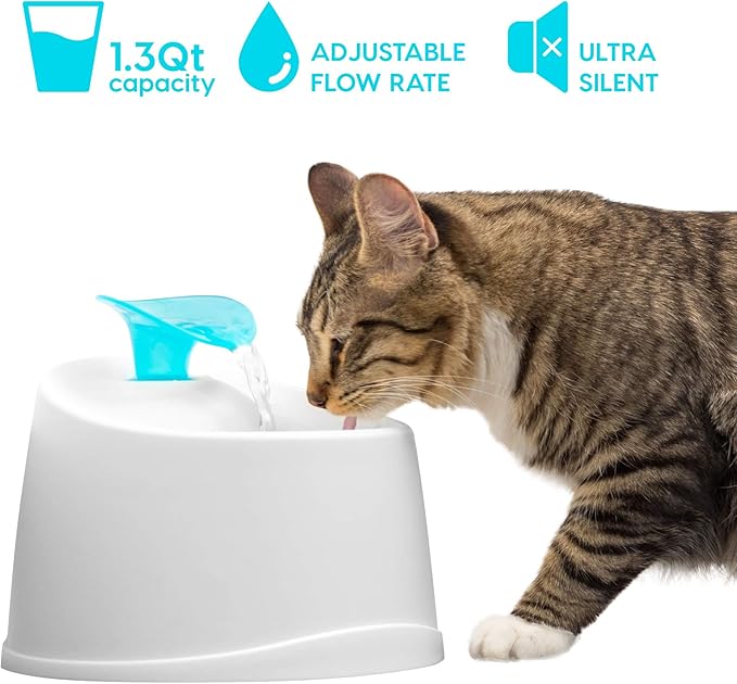 IRIS USA Cat Water Fountain, 44oz / 1.3L, Kitty Spout, Dog Fountain Water Bowl, Silent and Replaceable Charcoal Filter, White/Blue