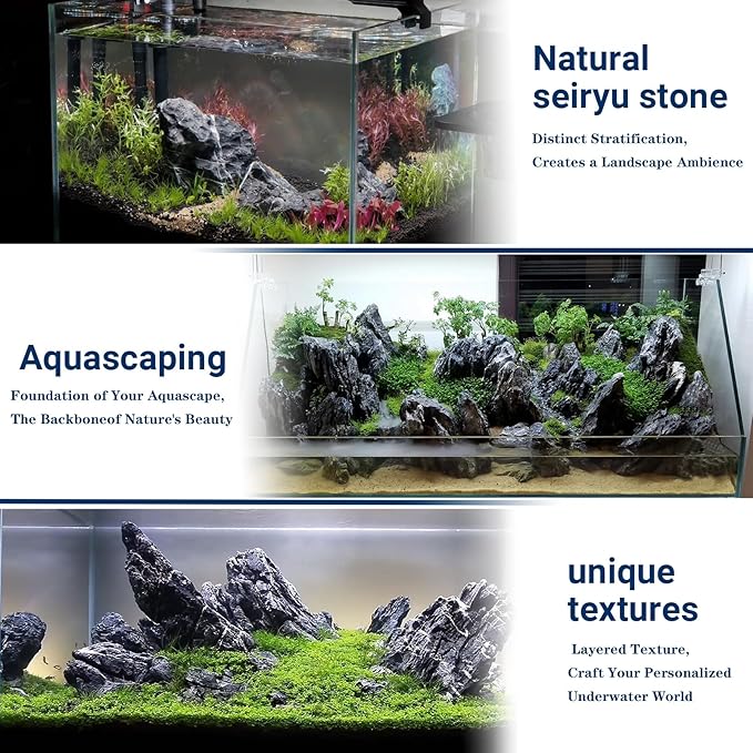 Seiryu Stone Natural Stone Rocks Fish Tank Decor Rocks for Aquariums Landscaping Model Tank Decoration Aquarium Miniature -20lb (2-8 inch)
