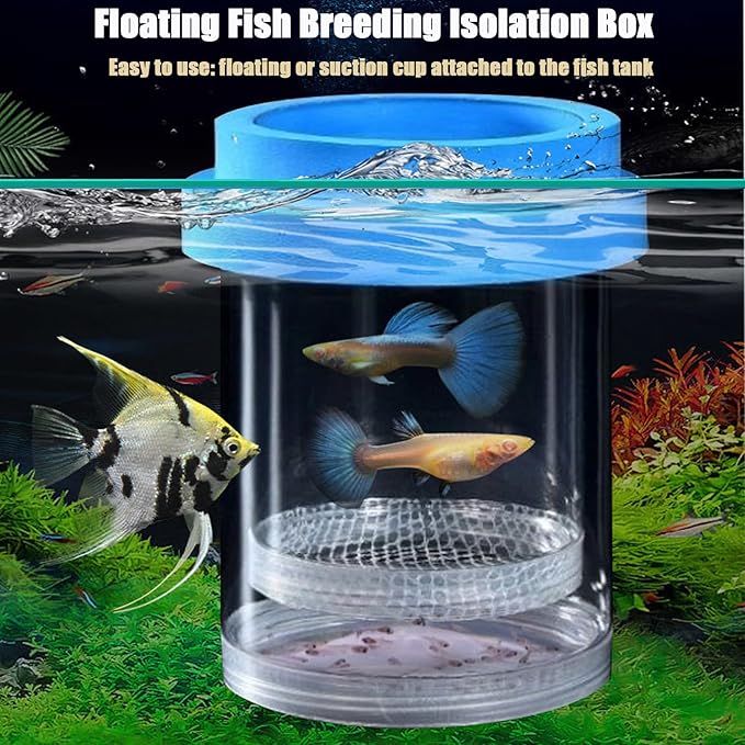 Breeder Box for Fish Tank, Plastic Aquarium Breeding Chamber, Floating Mesh Isolation Hatchery Incubator for Small Fish, Betta Shrimp Clownfish Guppy - Adjustable Nursery Tank Divider (Blue, Medium)