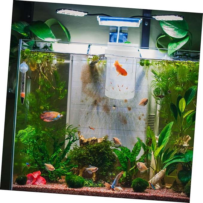 1 Set Fish Breeder Box: Fish Tank Breeding Isolation Box Plastic - Floating Hatchery Incubator for Guppy Betta Shrimps - Aquarium Divider