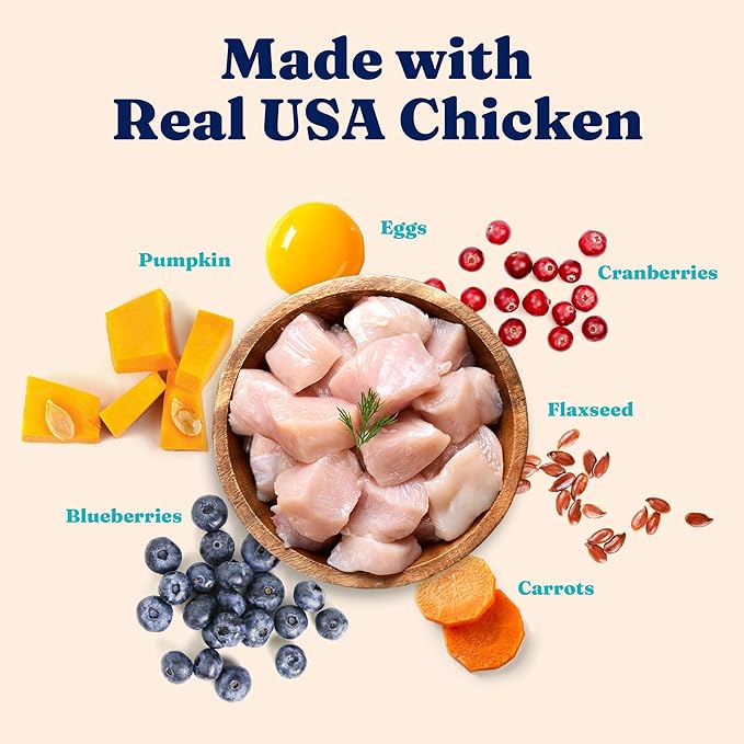 Solid Gold High Protein Dry Cat Food - Grain Free & Gluten Free Chicken Cat Dry Food w/Probiotics for Gut Health & Digestion - High Fiber & Omega 3 - Low Carb Kibble for All Ages - 6LB