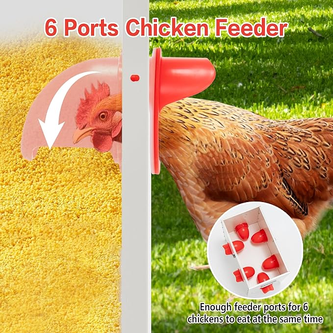 Metal Chicken Feeder Large Capacity Automatic, 6-Ports Weather-Resistant & Animal-Proof Poultry Feeder for Chickens, Geese, Ducks, Turkeys, Quails