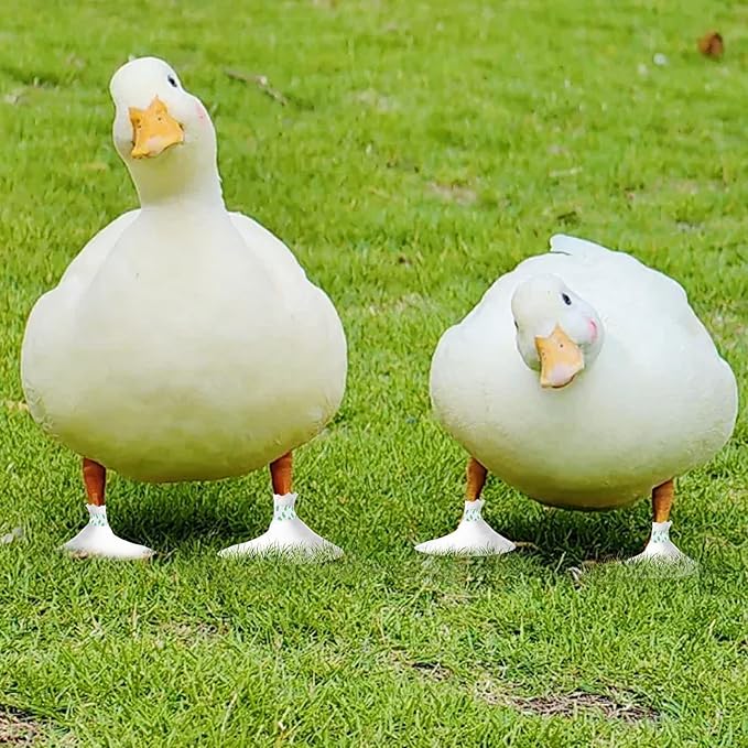 Disposable Boots for Real Duck Feet, Bumble Foot for Duck Supplies with Bandage, Large Size (Green N, 20 PCS)