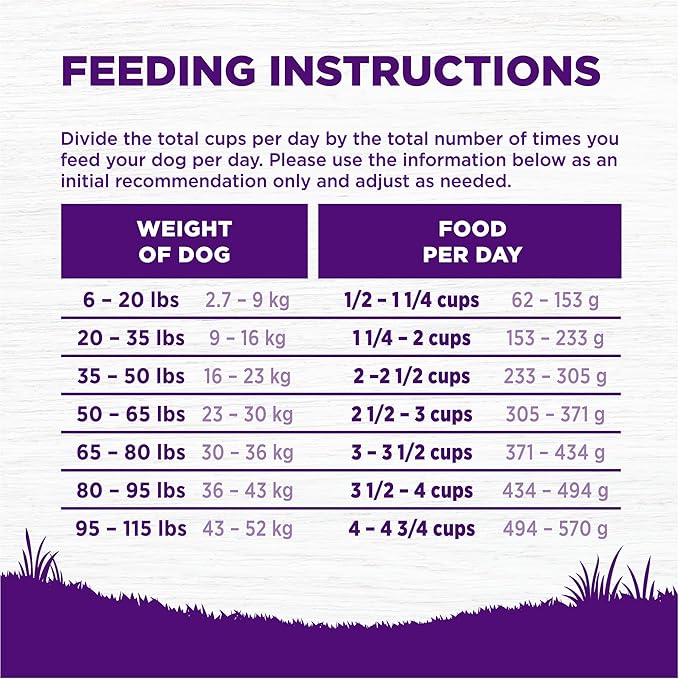 Wellness Complete Health Adult Dry Dog Food, Wholesome Grain Kibble, Natural, Chicken and Oatmeal Recipe, 5 lb Bag