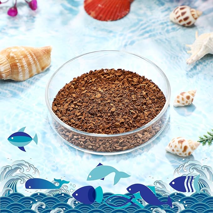 Patelai 3 Pieces Aquarium Shrimp Feeding Dish Clear Glass Fish Tank Feeding Bowl Food Bowl Freshwater Tray Feeder, 60mm, 65mm, 80mm