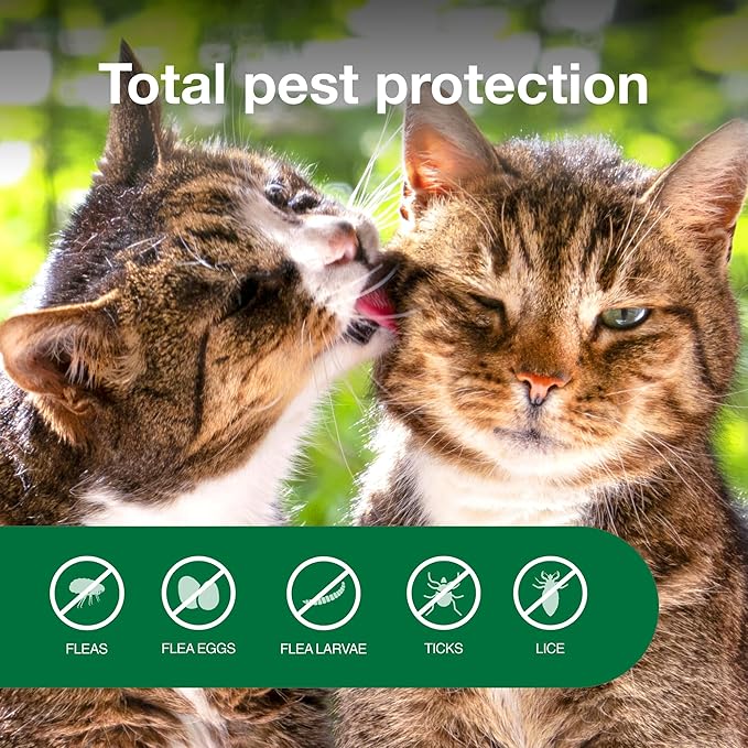Advantage Cat Flea Treatment Spray | Kills Fleas & Ticks | Cat Flea Spray | 8 oz.