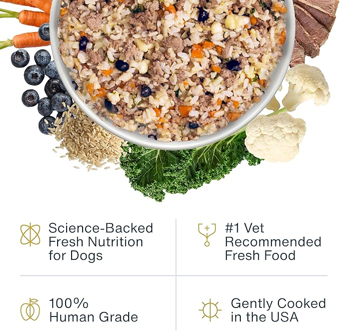 JustFoodForDogs Pantry Fresh Wet Dog Food, Complete Meal or Dog Food Topper, Lamb & Brown Rice Human Grade Dog Food Recipe - 12.5 oz (Pack of 12)