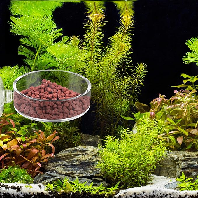 Aquarium Shrimp Feeder Dish Round Fish Tank Feeder Bowls Clear Aquarium Feeding Cup with Suction Cup