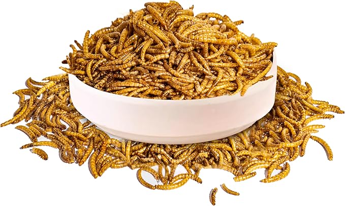 1LB Dried Mealworms Treat for Chicken, 100% Natural Non-GMO High Protein Organic Chicken Feed for Birds, Ducks, Layer Hens