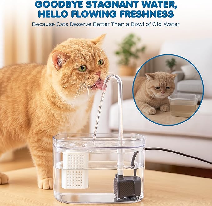 SunGrow Cat Water Fountain, Automatic Flowing Hydration Station with Filter & Silent USB Pump, Easy-to-Use Transparent Feeder Bowl for Indoor Felines, Ferrets, and Other Small Animals,6" x 5" x 5"