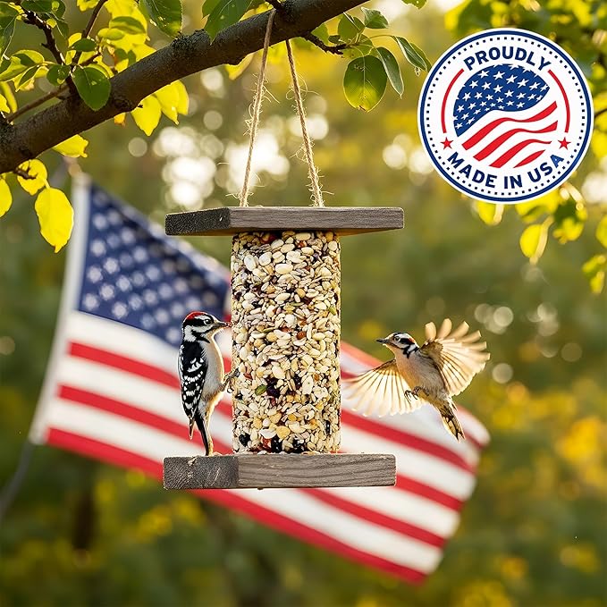 Woodpecker Bird Seed Cylinders with Hole – Premium Woodpecker Food Blend with Sunflower Chips, Peanuts & Suet – Natural High Energy Bird Seed, No Filler, No Shell, No Mess – USA Made (4" x 7.75")