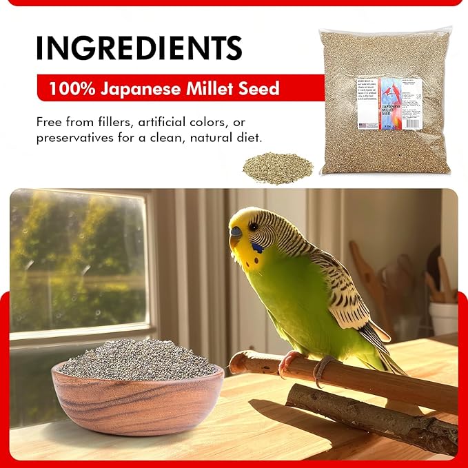 Morning Bird Japanese Millet Seed Bag 9 lbs - Healthy & Nutritious Pet Bird Food to Support Health & Immunity - Delicious Unique and Natural Flavor – Ideal Bird Feed for All Seed Eating Birds