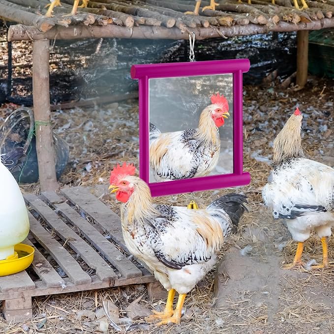 Sadnyy 1 Pcs Chicken Mirror Toys Extra Large 10.6 x 10 Inch Big Hanging Swing Mirror with Bell Wooden Pecking Toy for Hens Birds Parrots Coop Roosters (Square,Rose Red)