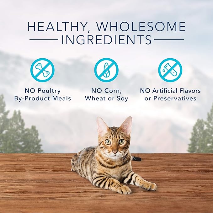 Blue Buffalo Wilderness High Protein Crunchy Cat Treats, Made with Natural Ingredients, Tasty Trout, 2-oz Bag (Pack of 12)