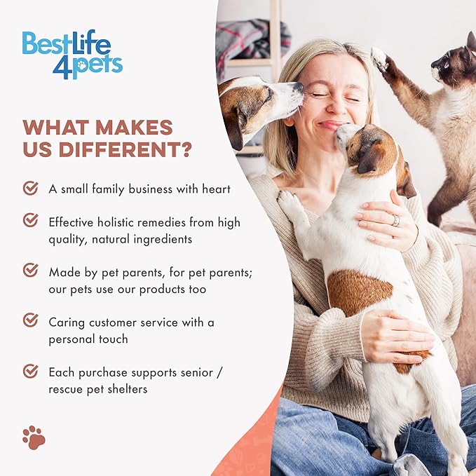 Mange Support for Cats, Natural Cat Itchy Skin, Paws and Ears Relief - Soothes Welts, Scabs, Red and Flaky Skin Reducing Excessive Grooming and Patchy Fur for a Healthy Coat (400 Tiny Tasteless Pills)