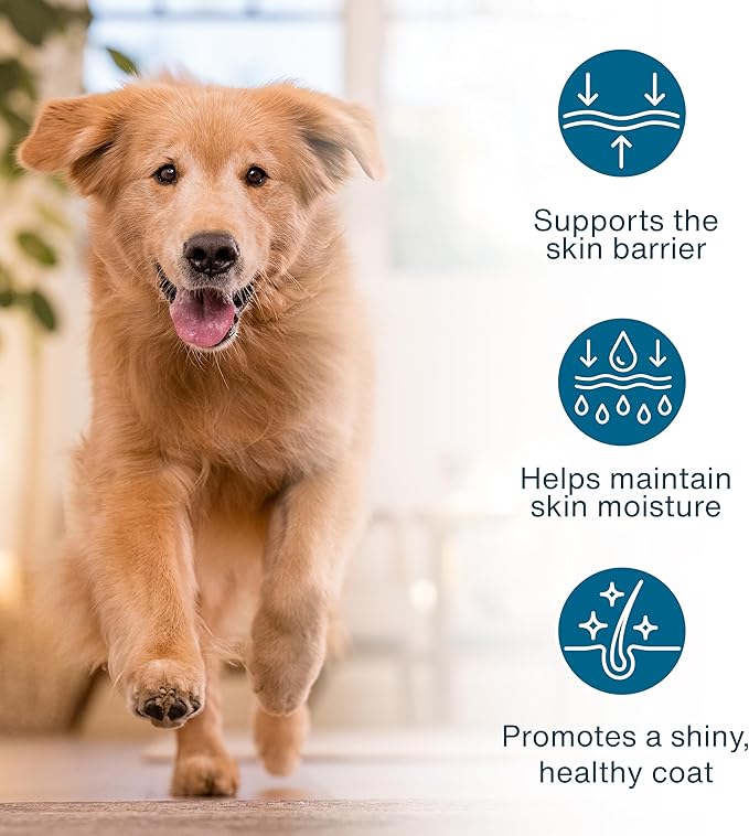 JustFoodForDogs JustFresh Boosts Sensitive Skin Dog Food Topper with Vitamin C, Vitamin E, Algae Oil, Omega-3 Fatty Acids, 8 oz Pouches - 8 Pack
