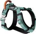 MADE TO ROAM Premium Explorer Harness - Y-Shaped Dog Harness with Adjustable Durable Nylon, Soft Padding, Metal Buckles and Leather Handle for Small, Medium, Large Dogs (Florida Seaside, Size 2)