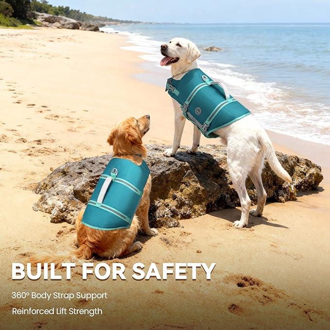 VIVAGLORY Rip Stop Dog Life Vest, Swimming Vest with Handle, Buoyancy for Doggy Puppy, Dog Life Jacket for Swimming & Boating, XXS, Turquoise