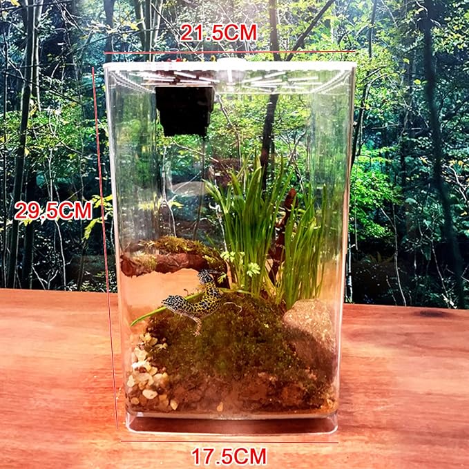 Acrylic Clear Reptile Terrarium Enclosure Cage, Reptile Breeding Box Lizard Spider Tank Climbing Pet Box with LED Light