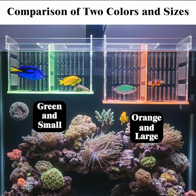 Aquarium Acrylic Breeding Box with Extendable Net - Fish Tank Breeder Box, Isolation Acclimation Hatchery for Saltwater & Freshwater Baby Fish, Shrimp, Betta (Green, 7.4x5.3x6.3 in)