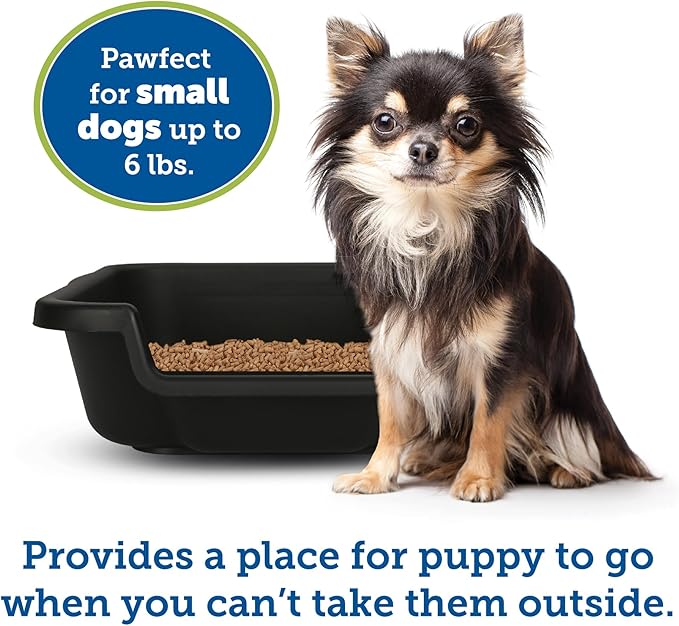 Dog Litter Pan by PuppyGoHere (Black, 20" x 15" x 5") Suitable for Dogs up to 6 lbs.