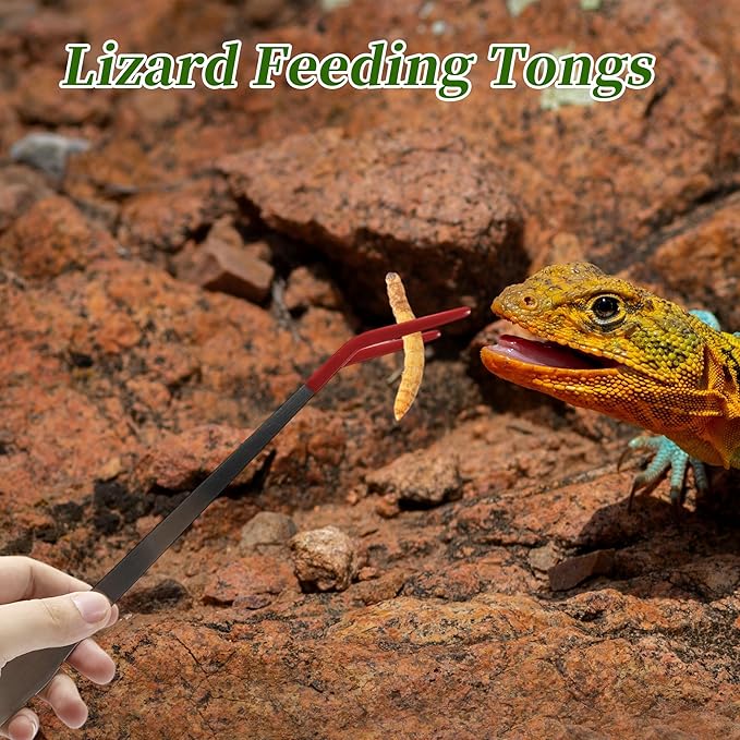 Reptile Feeding Tongs, Stainless Steel Lizard Feeding Tongs, Aquarium Curved Feeding Tweezers for Reptiles with Rubber Tip, Terrarium Feeding Tongs for Gecko, 14.96" Length, Red