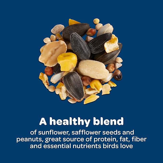 Kaytee Wild Bird Birders’ Paradise Seed Cake for Cardinals, Blue Jays, Woodpeckers, Finches and More, 2 Pounds, Pack of 4